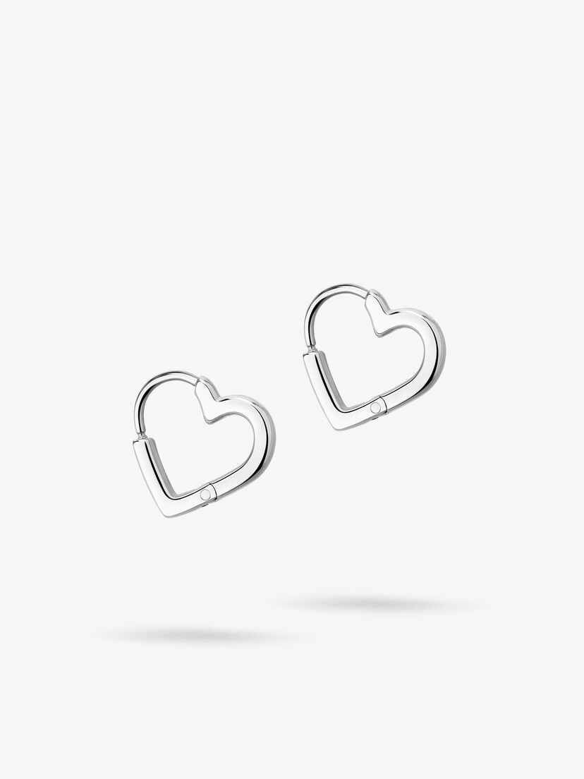 Creool - zilver, zilver, hi-res
