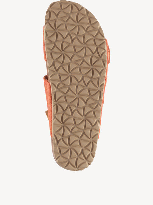 Mule, CORAL, hi-res