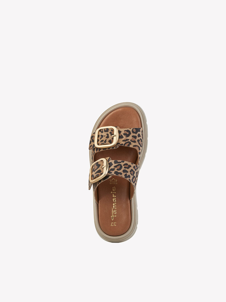 Mule, LEOPARD, hi-res