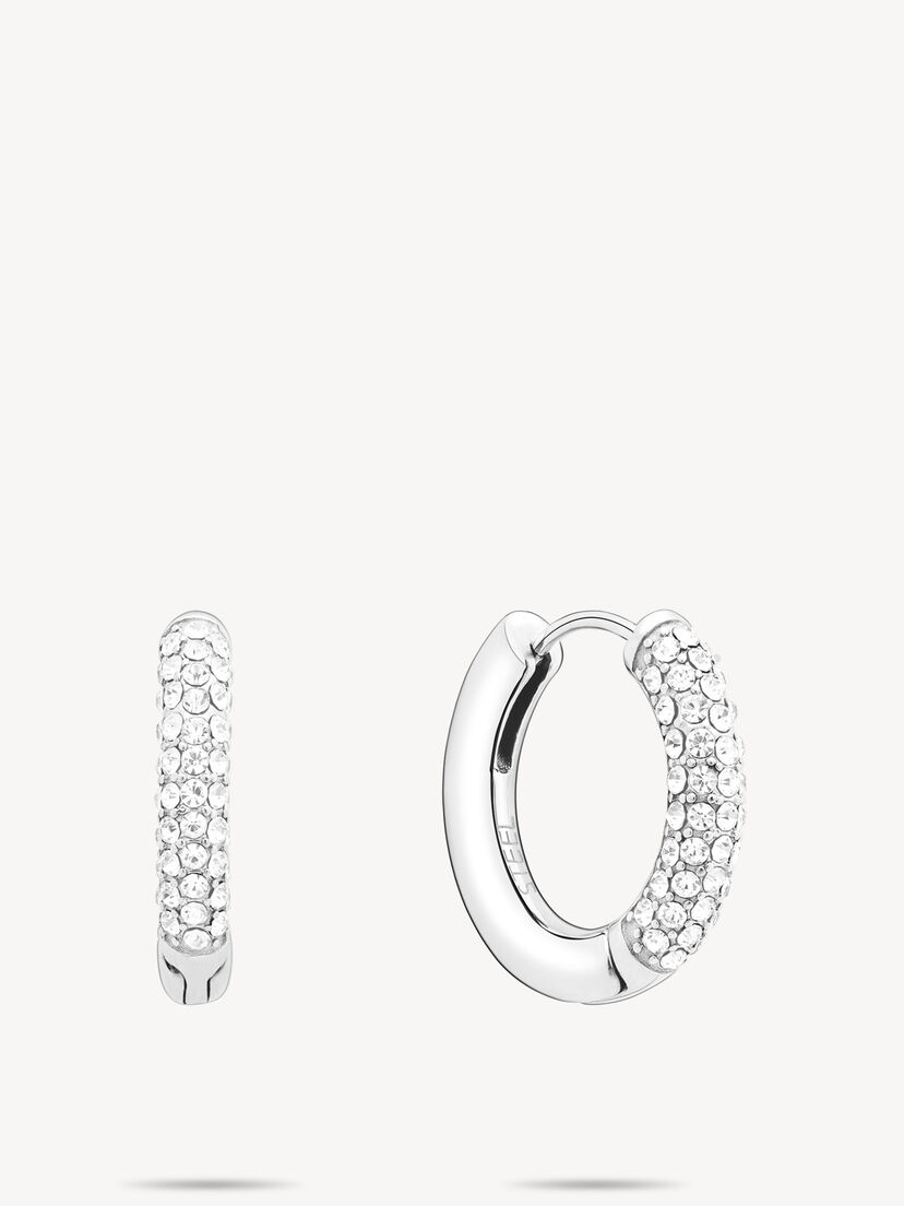 Creool - zilver, zilver, hi-res