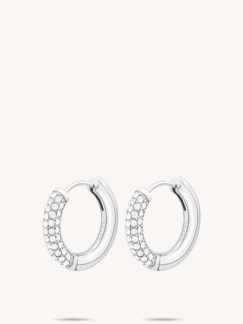 Creool - zilver, zilver, hi-res