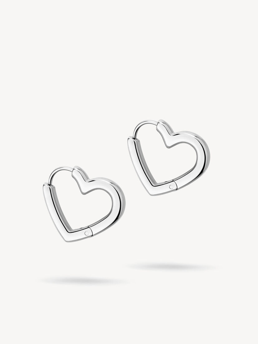Creool - zilver, zilver, hi-res